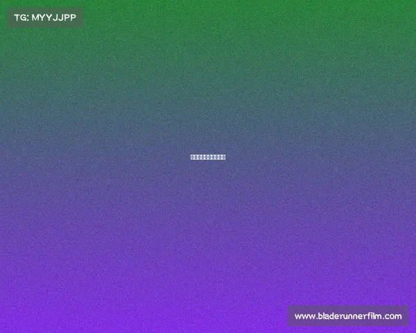 中国搏击节目都有哪些