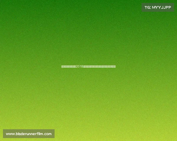 合肥亲子活动的网站—2018合肥亲子趣味运动会:全家齐上阵快乐运动共成长